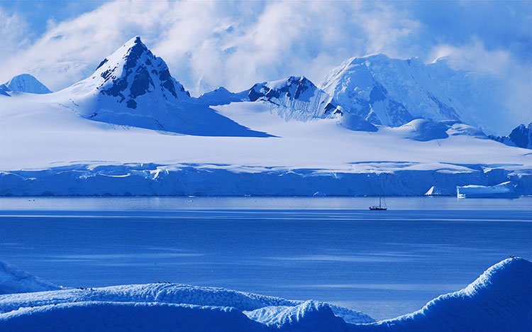 Antartica Cruises Itinerary