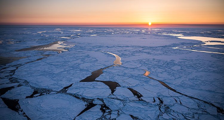 Cruise Bering Sea