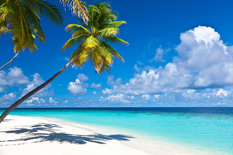 Caribbean Cruise Beaches