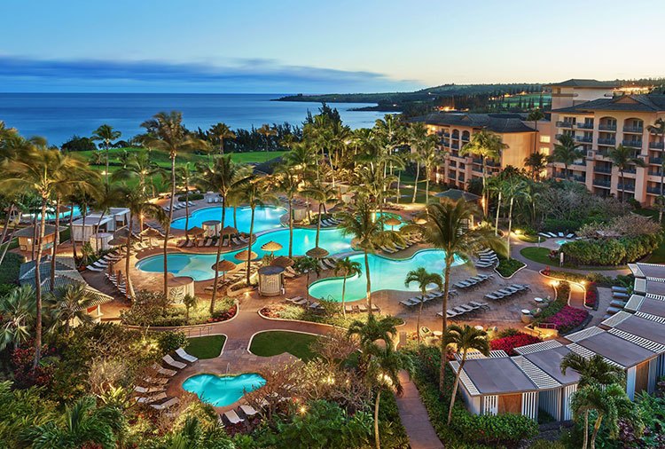Hawaii Cruise and Hotel