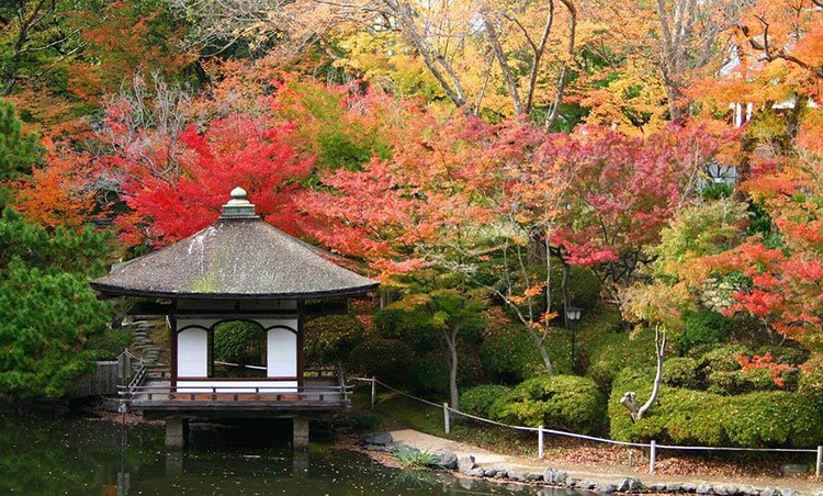 Japan Cruises Itinerary